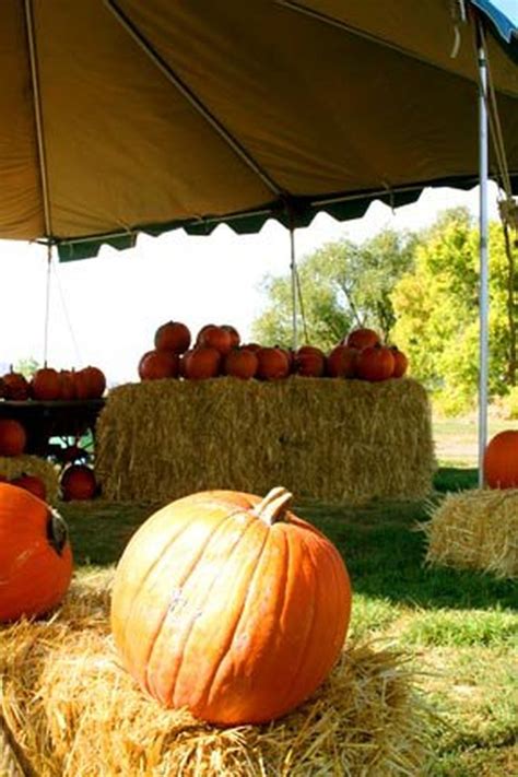 12 Unique Fall Festivals In Utah You Won't Find Anywhere Else - Only In Your State