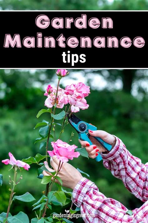 5 Essential Garden Maintenance Tips | Gardening is Great