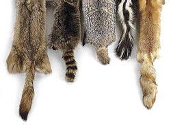 Animal Pelt & Skin: Animal Fur Pelts & Skins - Animal Hides | North american animals, Animal ...