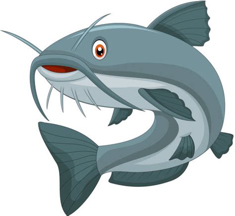 3,700+ Pic Of Catfish Pics Stock Illustrations, Royalty-Free Vector ...