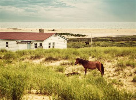 Sable Island gets funding for restoration, protection – RCI | English