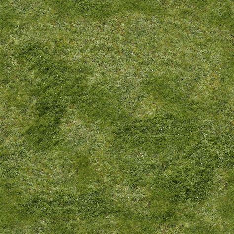 grass dif in 2021 | Grass textures, Grass texture seamless, Photoshop ...