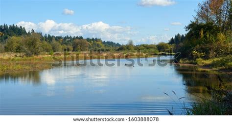 1,193 Salmon Creek Park Images, Stock Photos & Vectors | Shutterstock