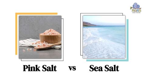 Pink Salt vs. Sea Salt: What are the Differences and Which One is ...