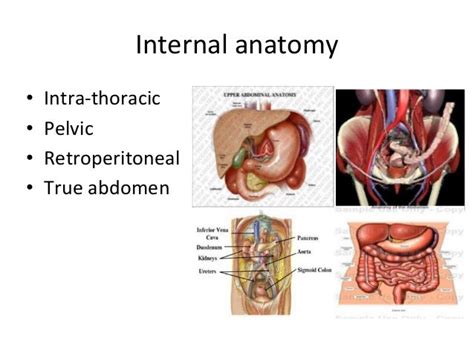 Blunt trauma abdomen