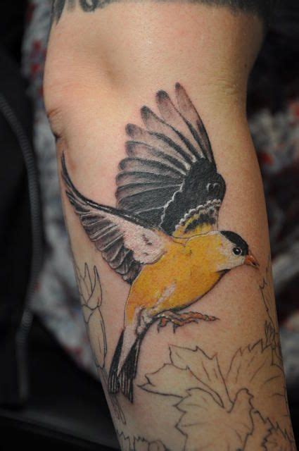 american goldfinch | Picture tattoos, Yellow bird tattoo, Flying tattoo