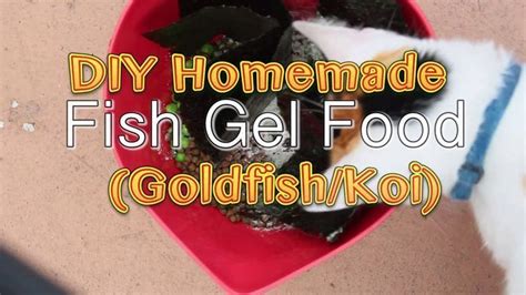 DIY Homemade Fish Gel Food (Goldfish/ Koi) | Goldfish food, Diy food ...