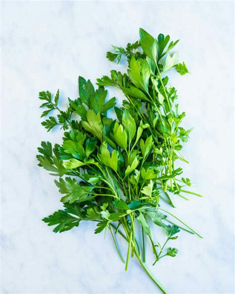 10 Parsley Recipes to Try – A Couple Cooks