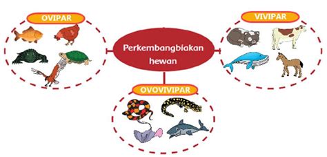 Peta pikiran Perkembangbiakan Hewan Secara Ovipar Vivipar dan Ovovivipar - TOPIKTREND