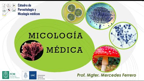 MICOLOGÍA MÉDICA - YouTube