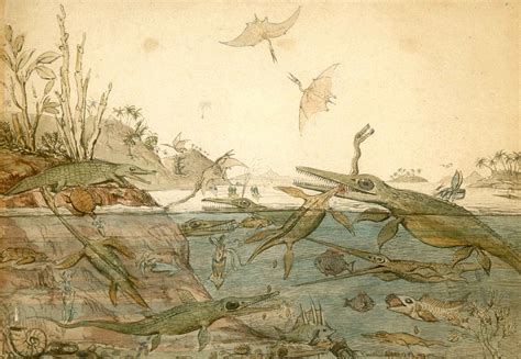 History of paleontology - Wikipedia