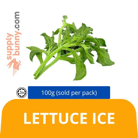 Lettuce Ice 100g (sold per pack) — HORECA Suppliers | Supplybunny