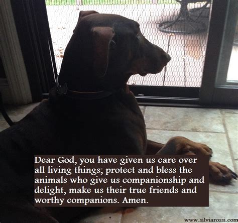 A Prayer for The Pet in Your Life - Silvia Rossi