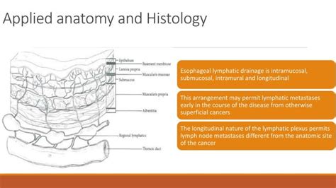 esophageal cancer surgery types and complications | PPT