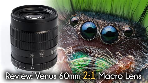 First Look At The VENUS V-DX 60mm F/2.8 2:1 Super-Macro Lens (and Some ...