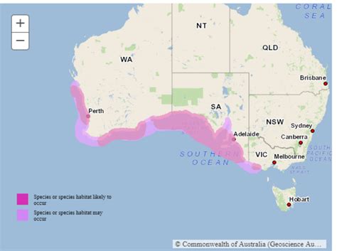 Australian Sea Lion Cameron Bynum 4G timeline | Timetoast timelines