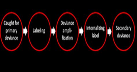 Overview Of Labelling Theory