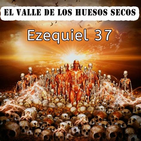 ¿Qué Profeta Habla De Un Valle De Huesos Secos? – Preguntale a la Biblia