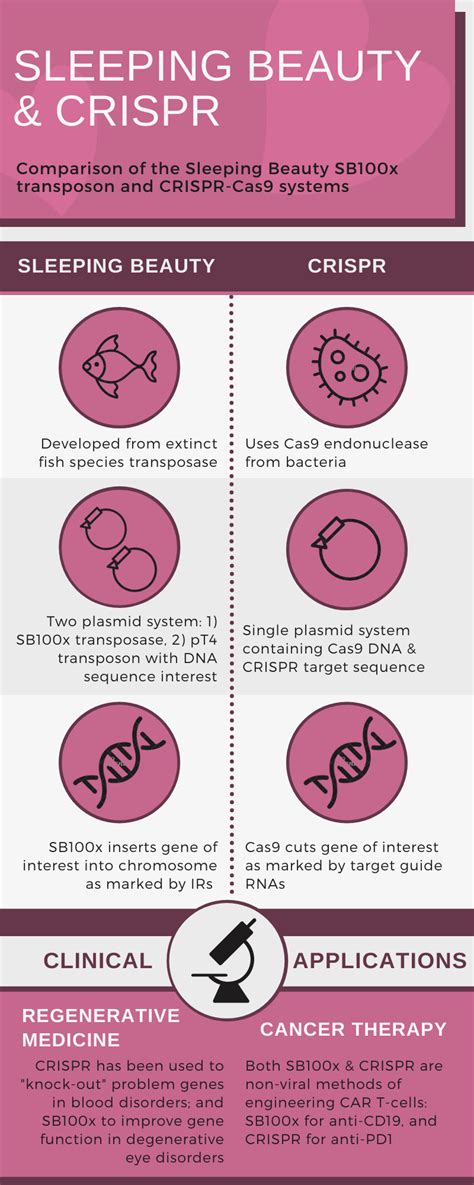 A gene-editing fairy tale: Sleeping Beauty transposons | Signals Blog