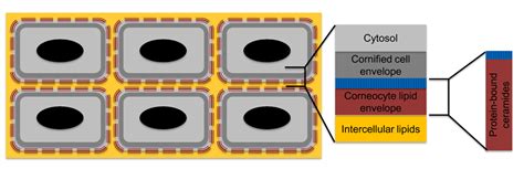 Recent advances in understanding inherited... | F1000Research