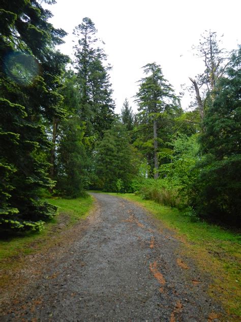 Oh To Be Hiking!: Balloch Castle Park