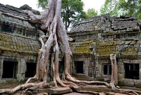 Ta Prohm, Cambodia Travel Guide - Encircle Photos