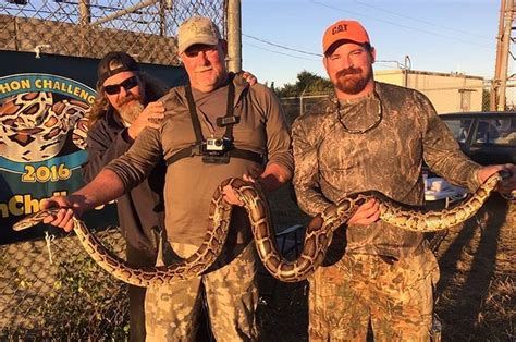 Snake Hunters Overtake Everglades For Python-Killing Challenge