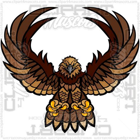 Hawk Logo Image. Vector or Jpg Formats.