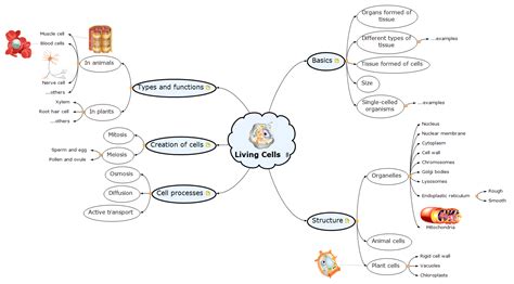 Living Cells 653 – MindView | Mind Mapping Software