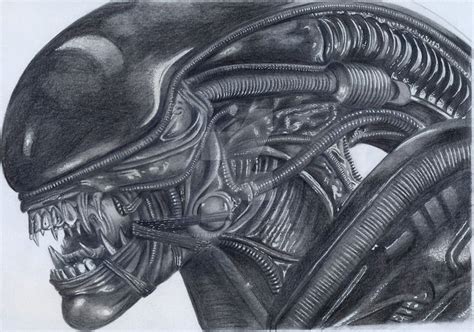 A graphite drawing of the xenomorph 'Alien. I have also done a graphite drawing of the 'Predator ...