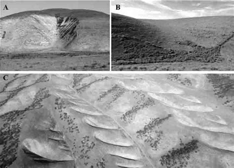 Landscape-scale erosion instabilities in the northern Gabilan Mesa, California | Geology Page