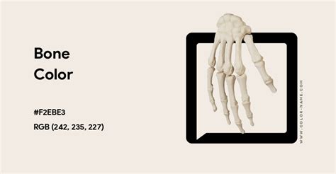 Bone Color Chart