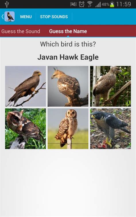 Birds of Prey Sounds APK for Android Download