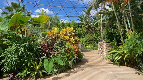 Greater Des Moines Botanical Garden in Downtown Des Moines | Expedia.ca