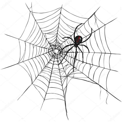 Black Widow Spider — Stock Vector © nikiteev #52611787