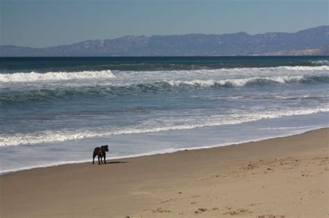 Oxnard Beach Park ('Olol'koy) in Oxnard, CA - California Beaches