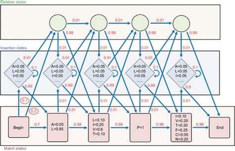 Diagram representing a profile hidden Markov model (profile HMM ...