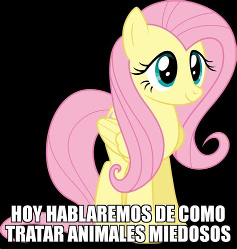 Fluttershy Meme | Animales