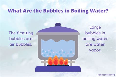 Boiling Bubbles