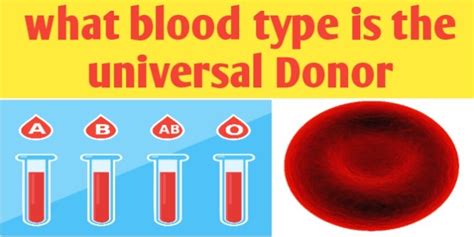 Universal donor blood type - garetuni