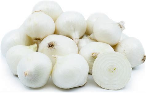 Boiling Onion Information and Facts