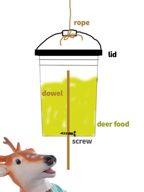 Deer Feeder | Five Gallon Ideas