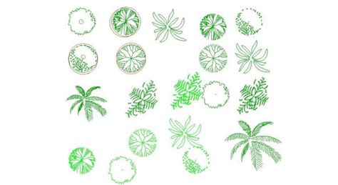 Vegetation Cad Blocks