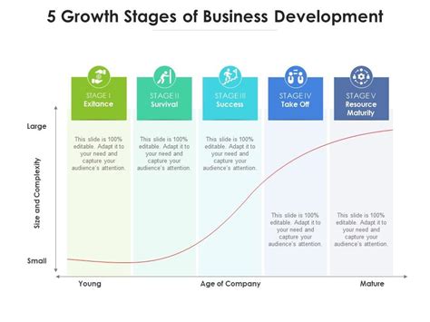 Business Development Phases PowerPoint And Google Slides Template PPT Slides | lupon.gov.ph