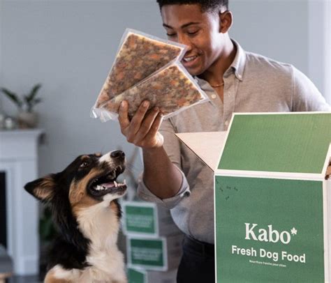 Dog Food Delivery I Kabo | Dog food delivery, Dog food recipes, Food animals