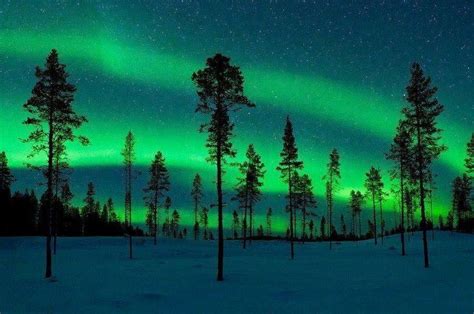 Arctic Circle, Sweden. | ALL AROUND THE WORLD | Pinterest