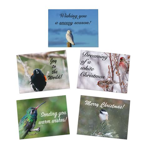 Bird Christmas Cards | Birding Greeting Cards | Flocking Around