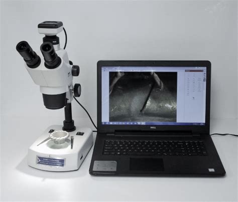 Mark V lab - STEREO MICROSCOPE W/ DIGITAL CAMERA & PC SYSTEM