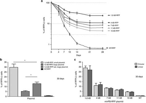 Effect of insert and plasmid size on transposition efficiency of target ...