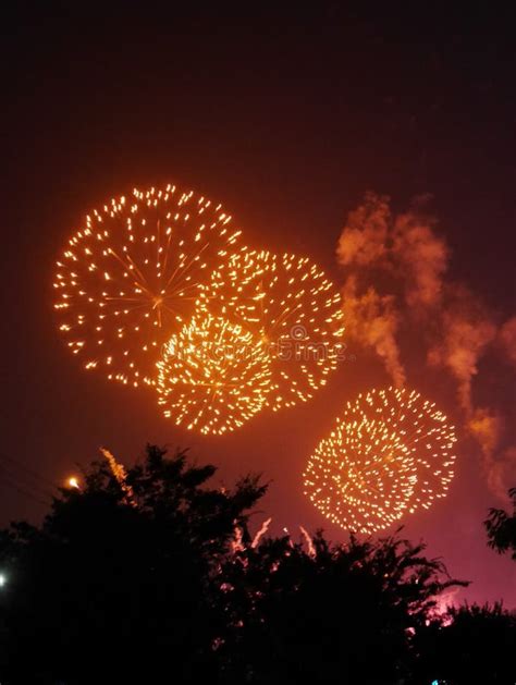 Orange Fireworks Against the Dark Night Sky of Tokyo, Japan, with Tree Silhouettes at the Bottom ...